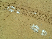 Erde