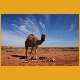 Australien05.jpg