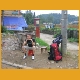 HonkongVietnam21.jpg