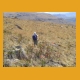 Lesotho24.jpg