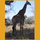 Lesotho27.jpg