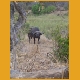 Lesotho30.jpg