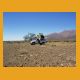 Namibia012.jpg