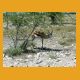 Namibia017.jpg