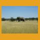 Namibia020.jpg