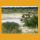 Namibia021.jpg