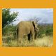 Namibia032.jpg