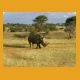 Namibia033.jpg