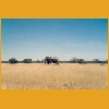 Namibia027.jpg